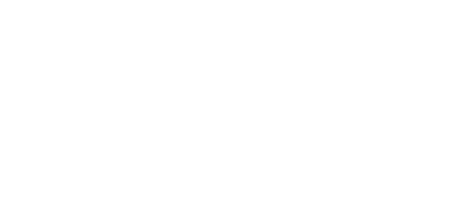 MDM Risk Solutions Logo